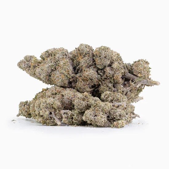 THCA topskud blomster Premium THCA kvalitet